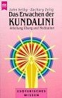 Das erwachen der kundalini - erwachen,