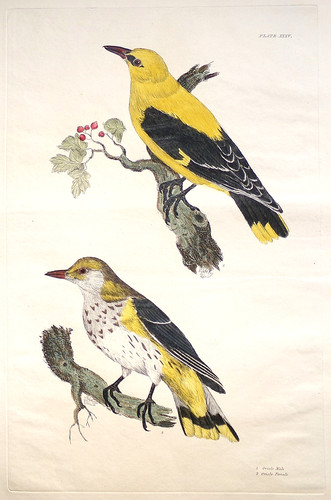 Original 1839 antike - original,