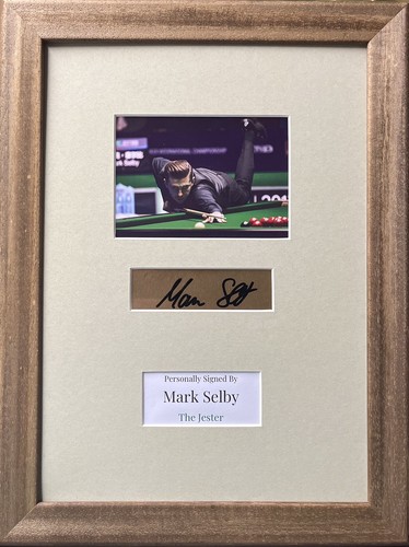 Snooker player mark selby - snooker,